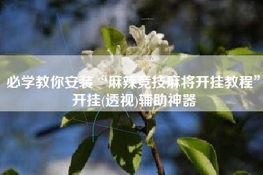 必学教你安装“麻辣竞技麻将开挂教程”开挂(透视)辅助神器