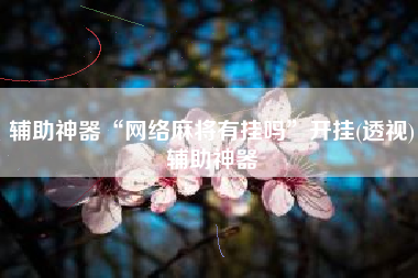 辅助神器“网络麻将有挂吗”开挂(透视)辅助神器