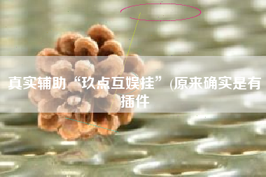 真实辅助“玖点互娱挂”(原来确实是有插件