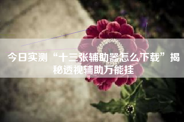 今日实测“十三张辅助器怎么下载”揭秘透视辅助万能挂