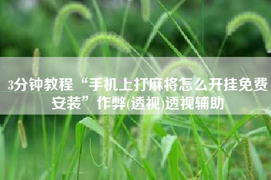 3分钟教程“手机上打麻将怎么开挂免费安装”作弊(透视)透视辅助