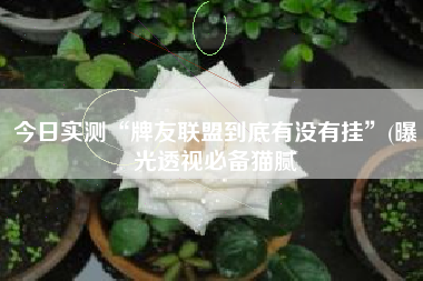 今日实测“牌友联盟到底有没有挂”(曝光透视必备猫腻