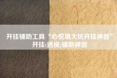 开挂辅助工具“心悦填大坑开挂神器”开挂(透视)辅助神器