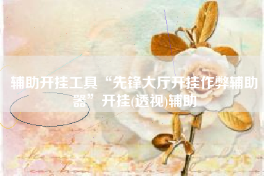 辅助开挂工具“先锋大厅开挂作弊辅助器”开挂(透视)辅助