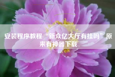 安装程序教程“新众亿大厅有挂吗	”原来有神器下载