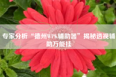 专家分析“德州WPK辅助器	”揭秘透视辅助万能挂