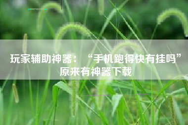 玩家辅助神器：“手机跑得快有挂吗	”原来有神器下载
