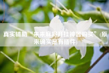 真实辅助“来来麻将开挂神器购买”(原来确实是有插件)