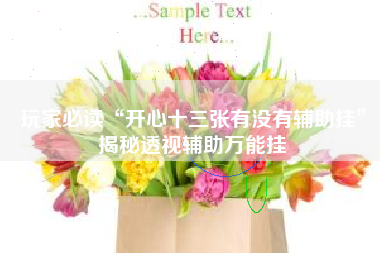 玩家必读“开心十三张有没有辅助挂”揭秘透视辅助万能挂