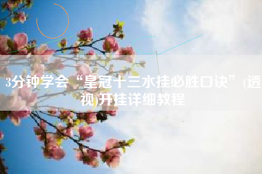 3分钟学会“皇冠十三水挂必胜口诀”(透视)开挂详细教程