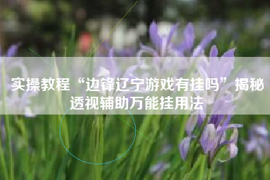 实操教程“边锋辽宁游戏有挂吗”揭秘透视辅助万能挂用法