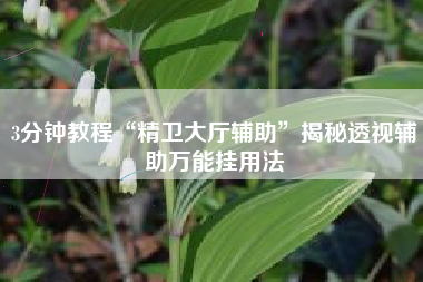3分钟教程“精卫大厅辅助”揭秘透视辅助万能挂用法
