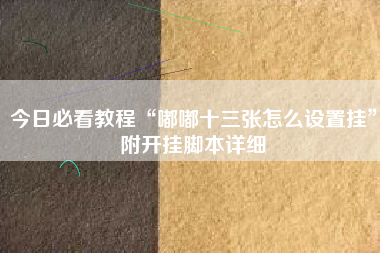 今日必看教程“嘟嘟十三张怎么设置挂	”附开挂脚本详细