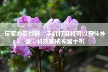 玩家必看教程“手机打麻将可以开挂神器”科技辅助神器手机