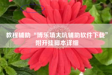 教程辅助“博乐填大坑辅助软件下载	”附开挂脚本详细