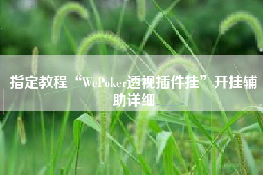 指定教程“WePoker透视插件挂”开挂辅助详细