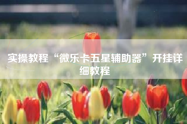 实操教程“微乐卡五星辅助器”开挂详细教程