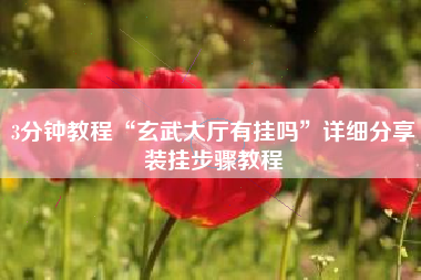 3分钟教程“玄武大厅有挂吗”详细分享装挂步骤教程