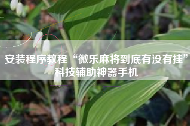 安装程序教程“微乐麻将到底有没有挂”科技辅助神器手机