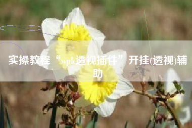 实操教程“wpk透视插件”开挂(透视)辅助