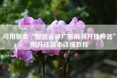 可用版本“微信雀神广东麻将开挂神器	”附开挂脚本详细教程