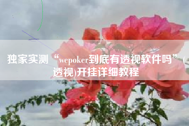 独家实测“wepoker到底有透视软件吗”(透视)开挂详细教程