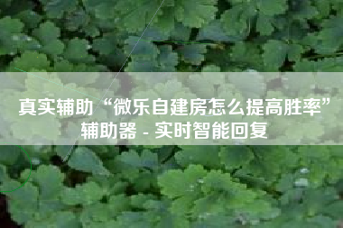 真实辅助“微乐自建房怎么提高胜率	”辅助器 - 实时智能回复