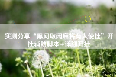 实测分享“黑河取闲麻将有人使挂”开挂辅助脚本+详细开挂