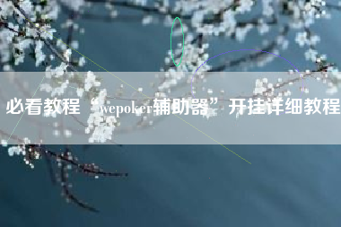 必看教程“wepoker辅助器”开挂详细教程