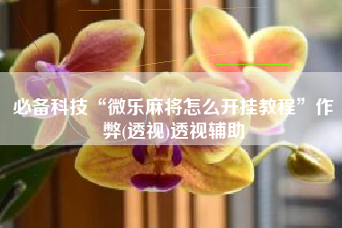 必备科技“微乐麻将怎么开挂教程	”作弊(透视)透视辅助