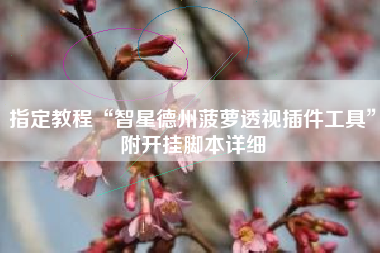 指定教程“智星德州菠萝透视插件工具”附开挂脚本详细