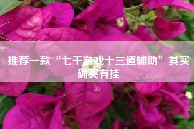 推荐一款“七千游戏十三道辅助	”其实确实有挂