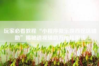 玩家必看教程“小程序微乐陕西挖坑辅助	”揭秘透视辅助万能挂用法