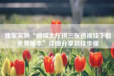 独家实测“蝴蝶大厅拼三张透视挂下载免费版本	”详细分享装挂步骤