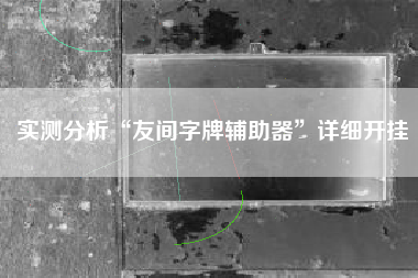 实测分析“友间字牌辅助器”详细开挂