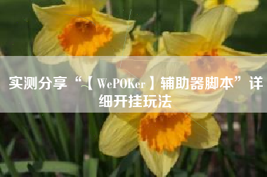 实测分享“【WePOKer】辅助器脚本	”详细开挂玩法
