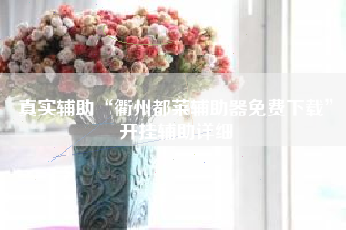 真实辅助“衢州都莱辅助器免费下载”开挂辅助详细