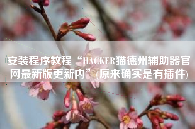 安装程序教程“HACKER猫德州辅助器官网最新版更新内”(原来确实是有插件)
