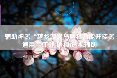 辅助神器“越乡游义乌麻将万能开挂器通用”作弊(透视)透视辅助