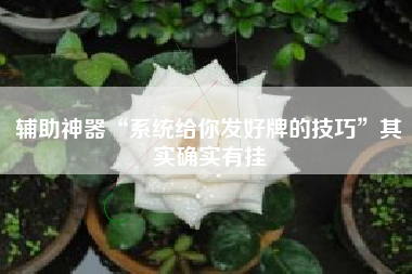 辅助神器“系统给你发好牌的技巧”其实确实有挂