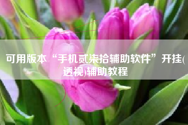 可用版本“手机贰柒拾辅助软件”开挂(透视)辅助教程