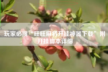玩家必搜“旺旺麻将开挂神器下载”附开挂脚本详细