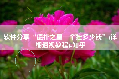软件分享“德扑之星一个挂多少钱”(详细透视教程)-知乎