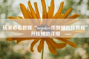 玩家必看教程“wepoker作弊辅助挂教程”开挂辅助详细