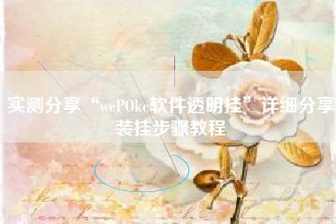 实测分享“wePOke软件透明挂	”详细分享装挂步骤教程