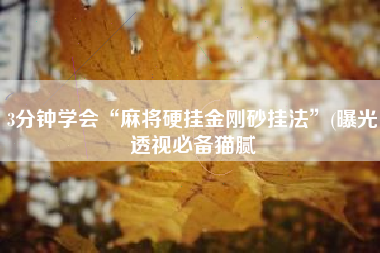 3分钟学会“麻将硬挂金刚砂挂法	”(曝光透视必备猫腻