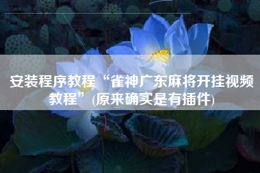 安装程序教程“雀神广东麻将开挂视频教程”(原来确实是有插件)