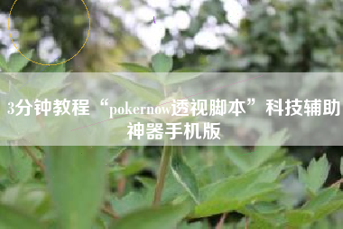 3分钟教程“pokernow透视脚本”科技辅助神器手机版