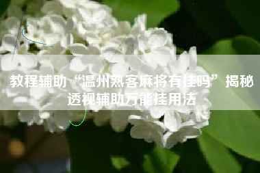 教程辅助“温州熟客麻将有挂吗”揭秘透视辅助万能挂用法