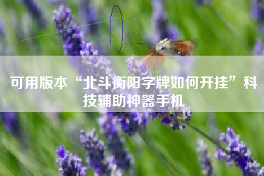 可用版本“北斗衡阳字牌如何开挂	”科技辅助神器手机